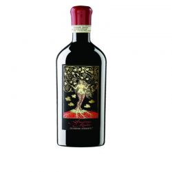 RƯỢU VANG AMARONE MATER